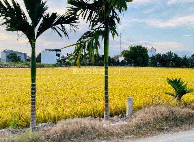 Đất mặt tiền Huỳnh Thúc Kháng - Diên Toàn - Diên Khánh