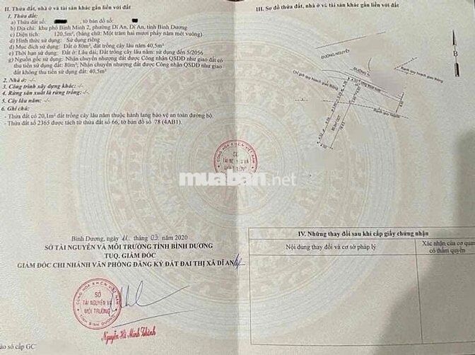 Đất 120m2 mặt tiền đường Nguyễn Tri Phương , p An Bình ,Tp Dĩ An