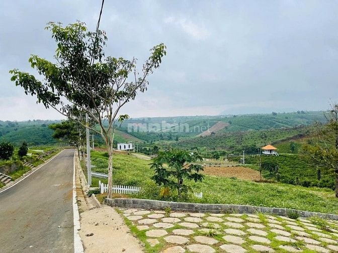 🔥[HOT] Duy nhất còn 1 lô tại NaLi Chill - Homestay and BBQ giá bán ch