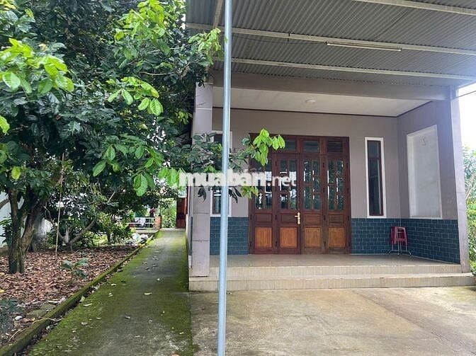 NHÀ MẶT TIỀN LỮ GIA - LỘC CHÂU - DT 480M2 (12MX40M) SẴN 200 THỔ CƯ