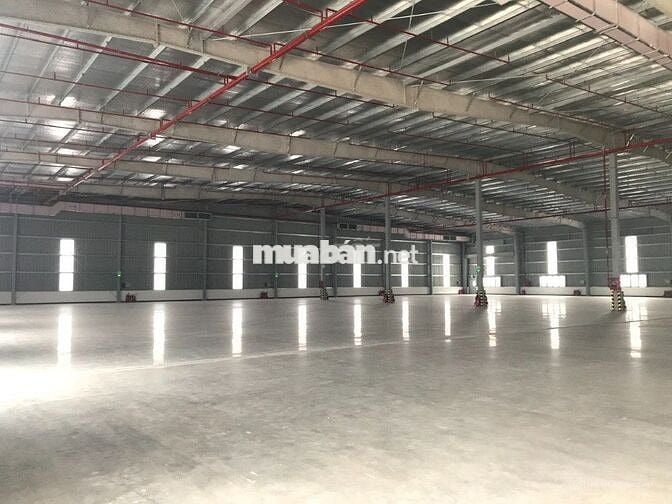 CHO THUÊ NHÀ KHO 750M² – ĐƯỜNG BÙI TÁ HÁN – GIÁ CHỈ 35 TRIỆU/THÁNG