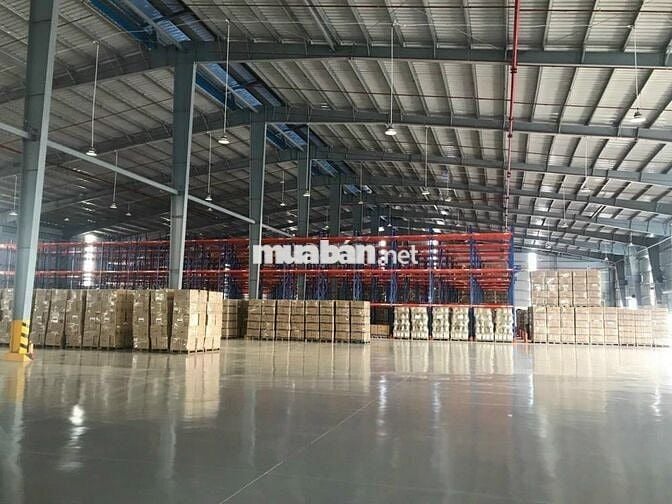 CHO THUÊ NHÀ KHO 750M² – ĐƯỜNG BÙI TÁ HÁN – GIÁ CHỈ 35 TRIỆU/THÁNG