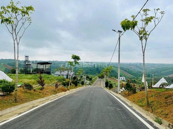 🔥[HOT] Duy nhất còn 1 lô tại NaLi Chill - Homestay and BBQ giá bán ch