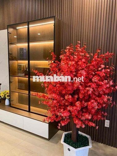 Nhà 3 tầng vị trí kinh doanh Hoà Xuân đường 10,5m