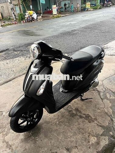 Nozza GRANDE Fi Đẹp Zin (trả góp)