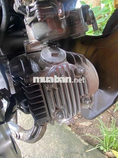 cọp con hàng trùm mền zx 2005 gần như nguyên thủy