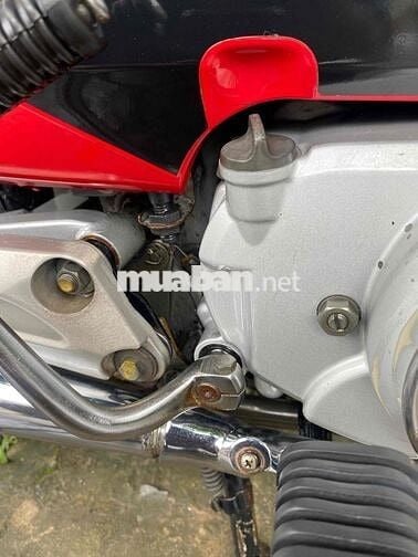cọp con hàng trùm mền zx 2005 gần như nguyên thủy