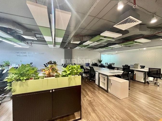 Văn phòng Nguyễn Phong Sắc, Dịch Vọng Hậu 120m-150m full dịch vụ