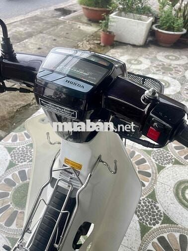 bán Dream thái đẹp keng