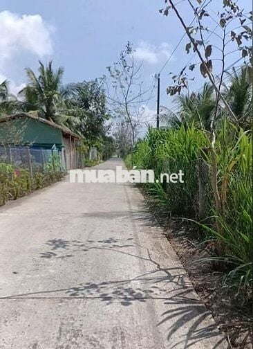 Bán đất 508 m², giá 500 triệu, Xã Tân Phong, Thạnh Phú, Bến Tre