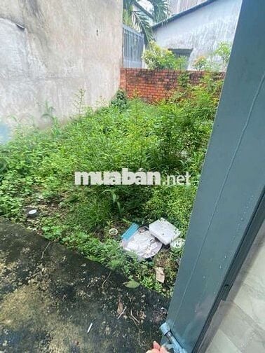 Cho thuê nhà hẻm 385 Lê Hồng Phong Phú  Hòa