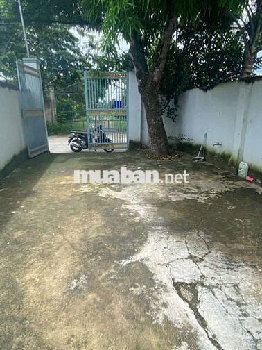 Cho thuê nhà hẻm 385 Lê Hồng Phong Phú  Hòa