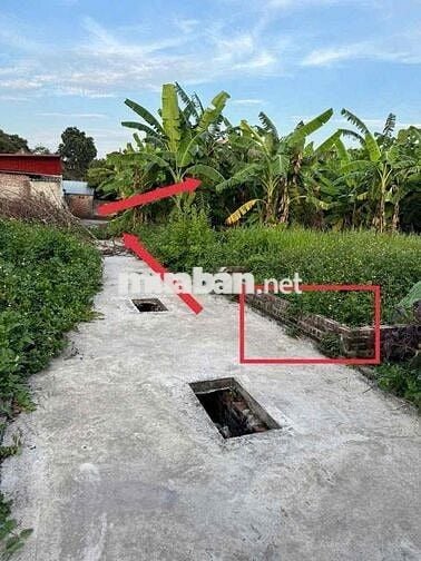 ❌❌CHÍNH CHỦ GỬI BÁN LÔ ĐẤT Đồng Mỹ❌❌                 (Lý Thường Kiệt,Y