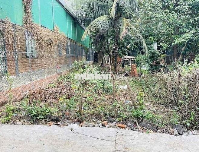 BÁN ĐẤT HẺM YNIKSOR - KHU AMAJHAO. 5x29M. GIÁ: 2,390 TỶ
