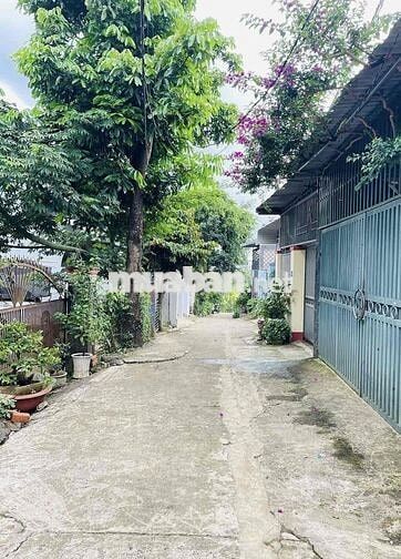 BÁN ĐẤT HẺM YNIKSOR - KHU AMAJHAO. 5x29M. GIÁ: 2,390 TỶ