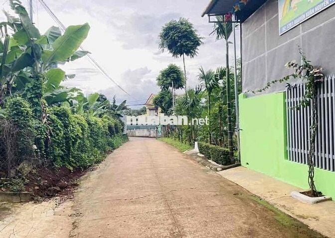 BÁN ĐẤT HẺM 128 NGUYỄN XUÂN NGUYÊN - BMT. 5x25M . GIÁ: 2,950 TỶ