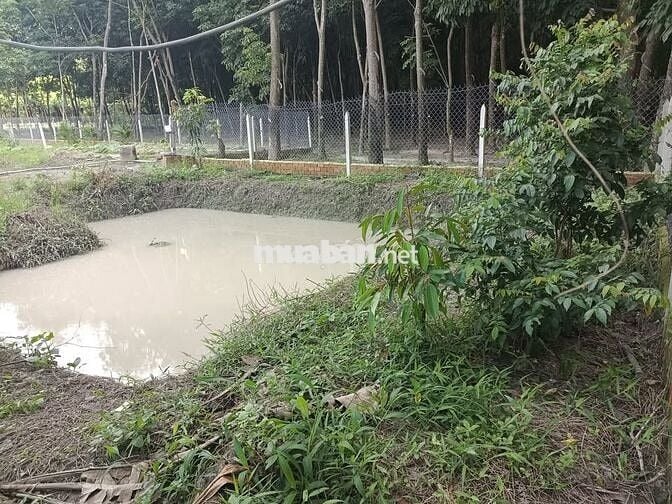 Đất 2300m2 cần bán nhanh tặng nhà cấp 4