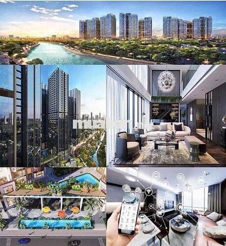 Căn hộ cao cấp liền kề Phú Mỹ Hưng. Chính thức nhận booking chỉ 50tr