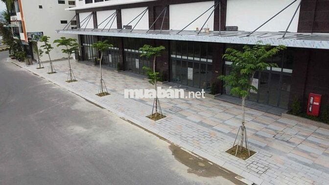 cho thuê tầng trệt ( Căn 96C. CT2) Phước Long
