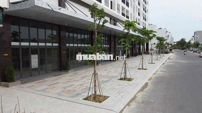 cho thuê tầng trệt ( Căn 96C. CT2) Phước Long
