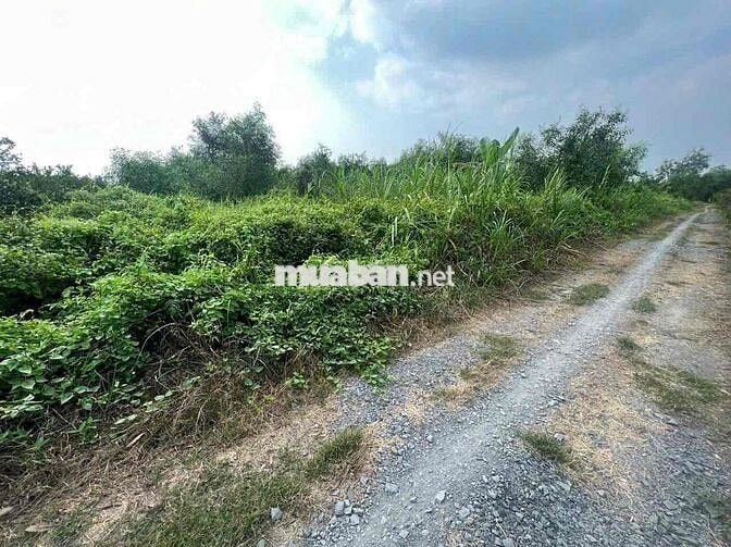 Hàng Ngộp - 1000m Đất Vườn Chỉ 440tr
