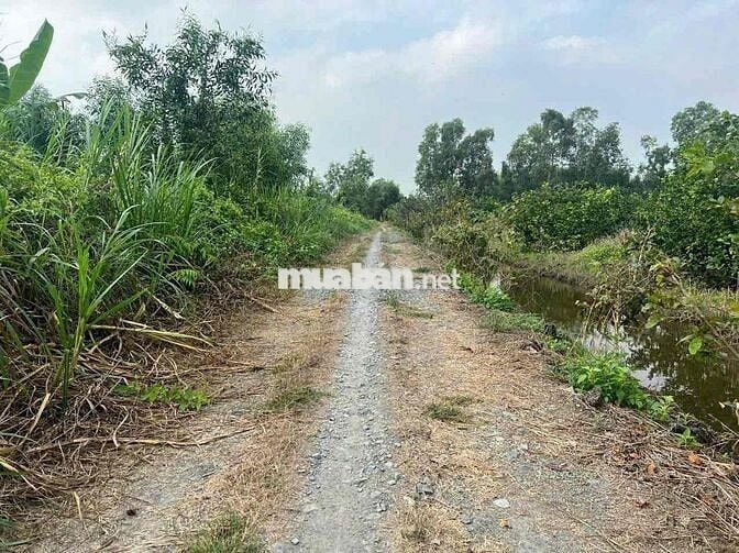 Hàng Ngộp - 1000m Đất Vườn Chỉ 440tr