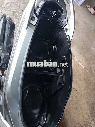 Airblade cọp