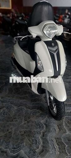Xe yamaha gender bs 65