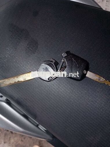Airblade cọp