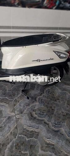 Xe yamaha gender bs 65