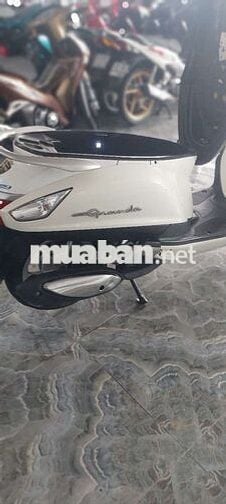 Xe yamaha gender bs 65
