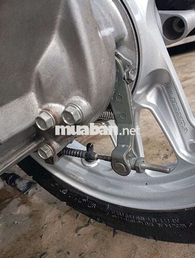 Airblade cọp