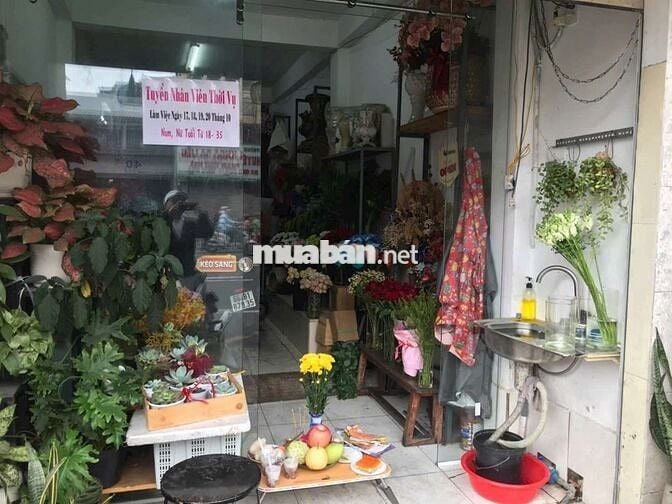 NHÀ BÁN MT 4 LẦU 59 HOÀNG VĂN THU P15 Q PN