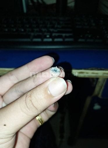 BÁN 1 BÔNG TAI BẠC 925 ĐÍNH ĐÁ MOISANITE
