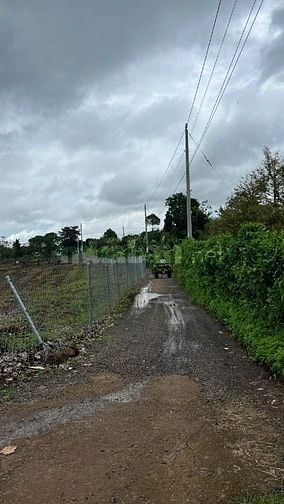 ĐẤT NÔNG NGHIỆP + 10826,8 m2 + LONG KHÁNH. ĐỒNG NAI