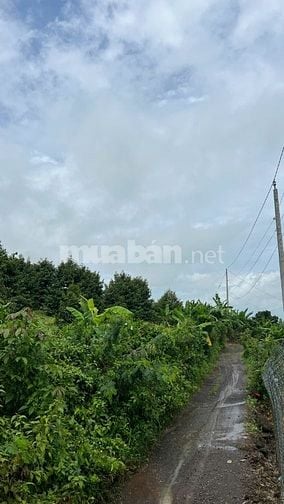 ĐẤT NÔNG NGHIỆP + 10826,8 m2 + LONG KHÁNH. ĐỒNG NAI