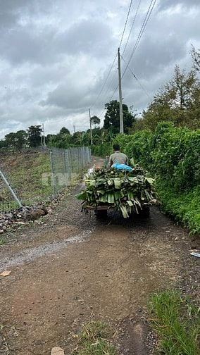 ĐẤT NÔNG NGHIỆP + 10826,8 m2 + LONG KHÁNH. ĐỒNG NAI