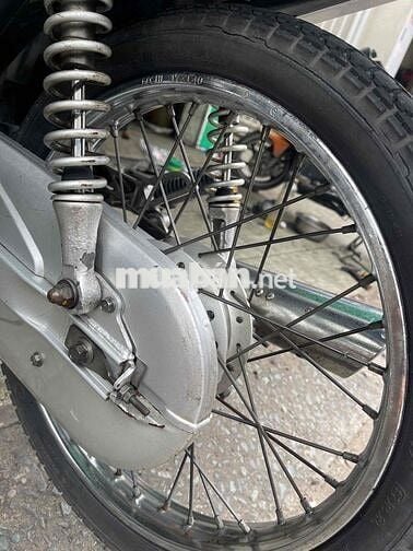 Anlpha 2006 Xương cá bstp 1 đời chủ