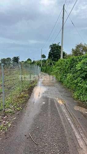 ĐẤT NÔNG NGHIỆP + 10826,8 m2 + LONG KHÁNH. ĐỒNG NAI
