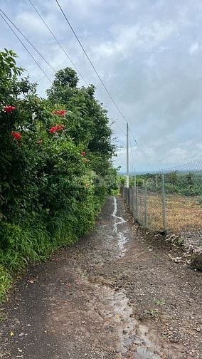ĐẤT NÔNG NGHIỆP + 10826,8 m2 + LONG KHÁNH. ĐỒNG NAI