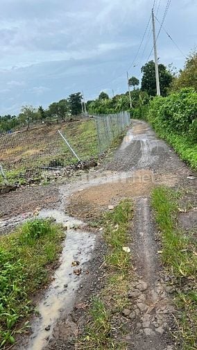 ĐẤT NÔNG NGHIỆP + 10826,8 m2 + LONG KHÁNH. ĐỒNG NAI