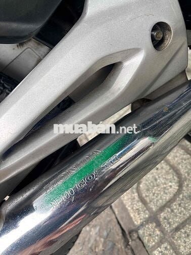 Anlpha 2006 Xương cá bstp 1 đời chủ