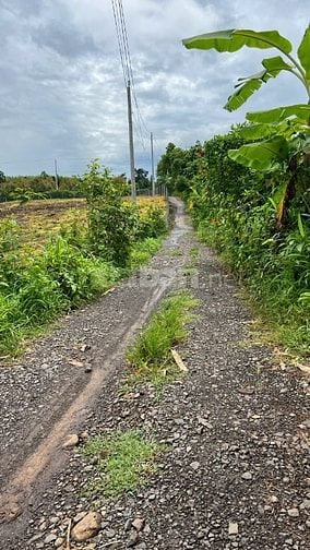 ĐẤT NÔNG NGHIỆP + 10826,8 m2 + LONG KHÁNH. ĐỒNG NAI