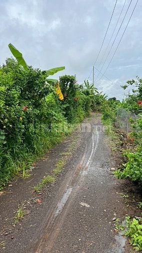 ĐẤT NÔNG NGHIỆP + 10826,8 m2 + LONG KHÁNH. ĐỒNG NAI