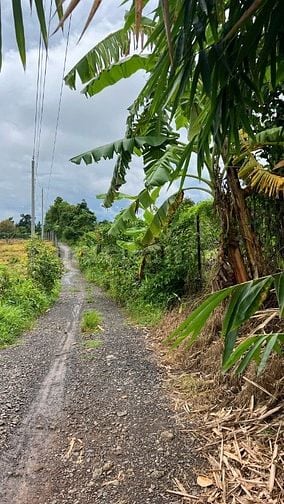 ĐẤT NÔNG NGHIỆP + 10826,8 m2 + LONG KHÁNH. ĐỒNG NAI