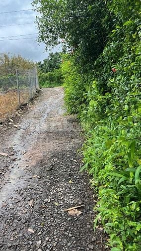 ĐẤT NÔNG NGHIỆP + 10826,8 m2 + LONG KHÁNH. ĐỒNG NAI