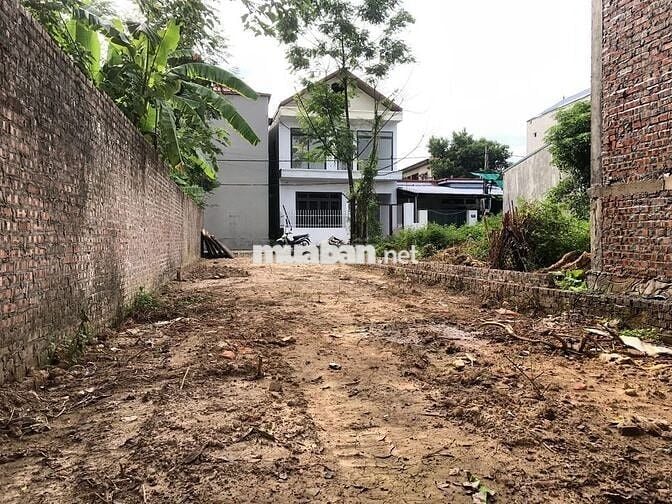 Bán Đất Thụy Hương Xã Nội Bài Hà Nội Giá 28tr/m