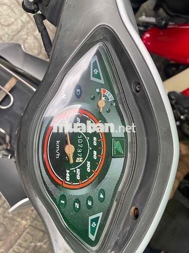 Anlpha 2006 Xương cá bstp 1 đời chủ