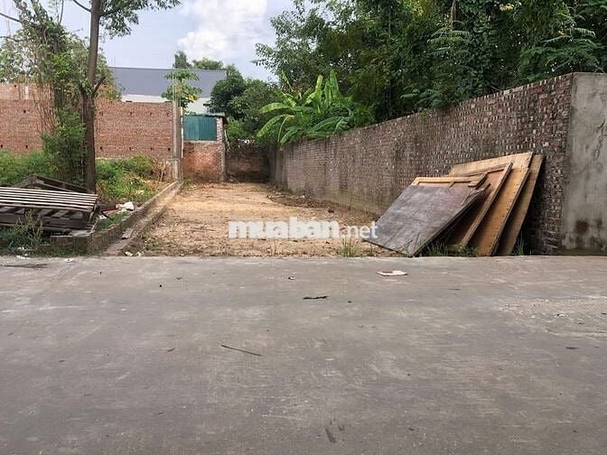 Bán Đất Thụy Hương Xã Nội Bài Hà Nội Giá 28tr/m