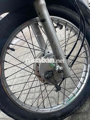 Anlpha 2006 Xương cá bstp 1 đời chủ